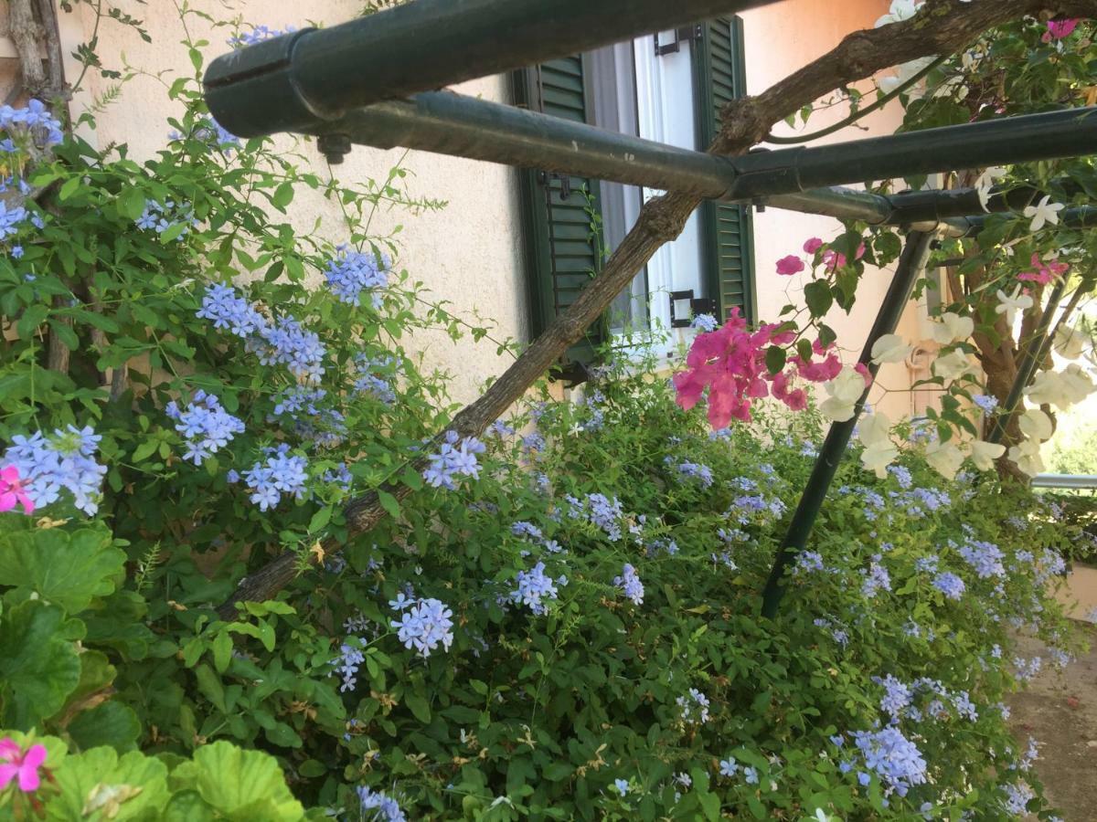 Casa Buganvilla Minia Dış mekan fotoğraf
