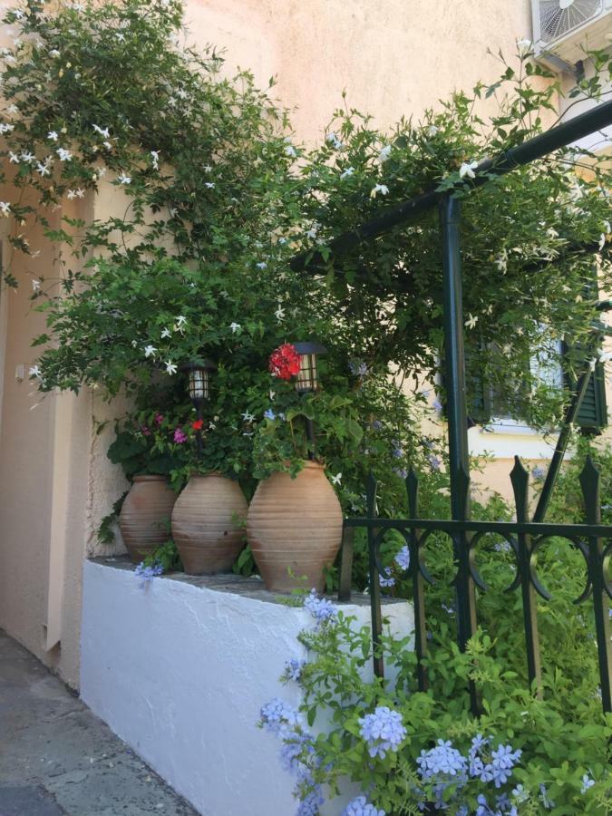 Casa Buganvilla Minia Dış mekan fotoğraf