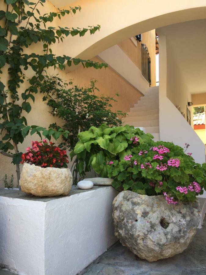 Casa Buganvilla Minia Dış mekan fotoğraf